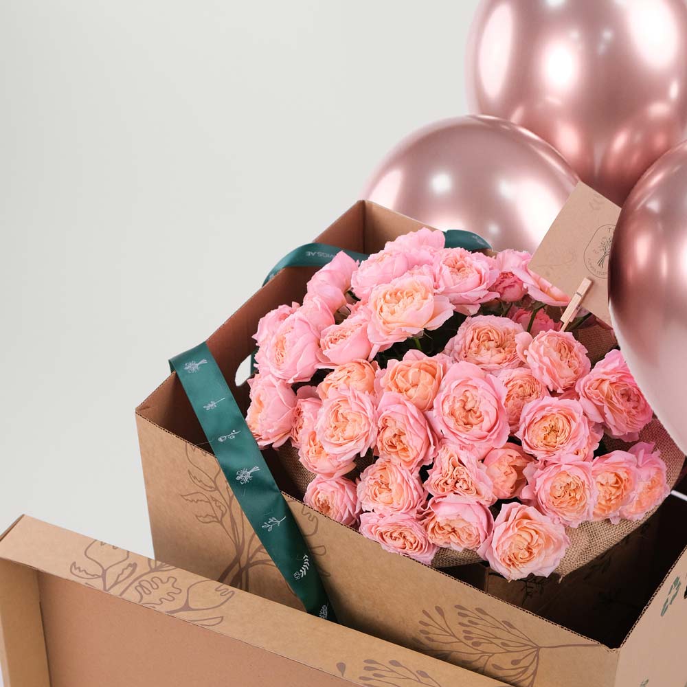 Boxes