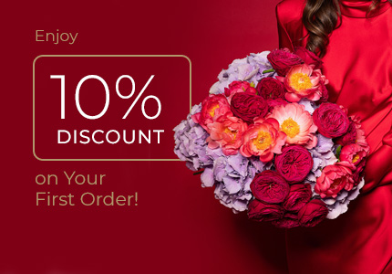 Offer Banner